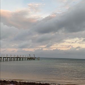 Meet your Posher, Dalia